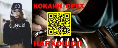 амф Кандалакша