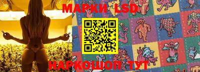 амф Кандалакша
