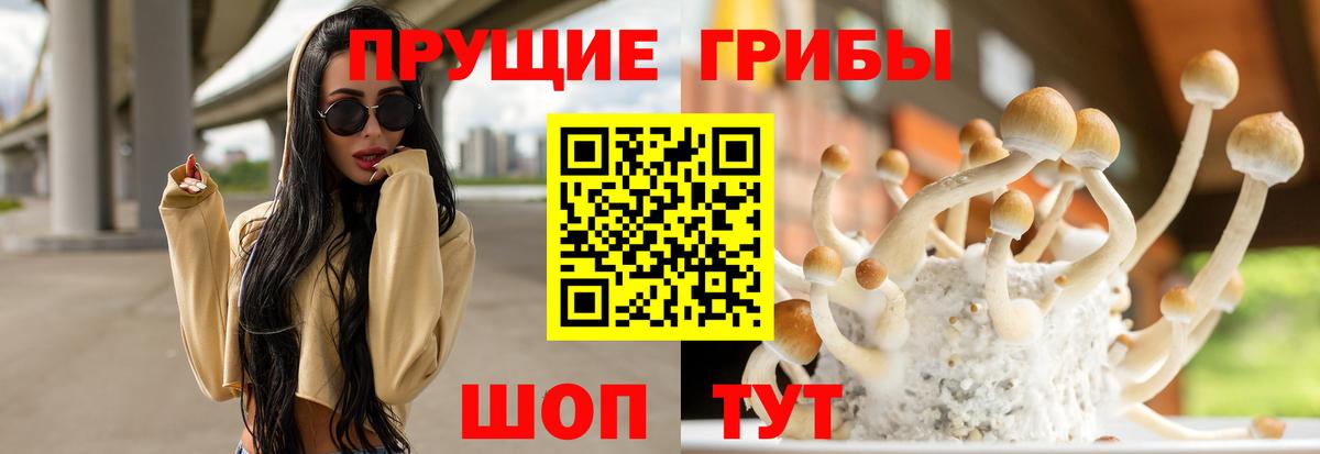 Псилоцибиновые грибы ЛСД  Вход с VPN  Псилоцибиновые грибы мицелий  Железноводск 